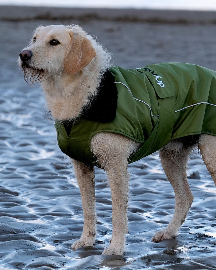 Dryrobe Dog - ATLAS